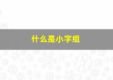 什么是小字组