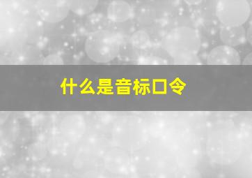 什么是音标口令