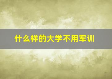 什么样的大学不用军训