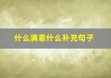 什么满意什么补充句子