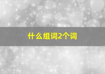 什么组词2个词