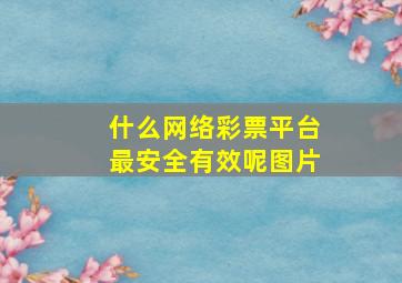 什么网络彩票平台最安全有效呢图片