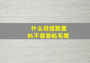 什么羽绒服面料不容易粘毛呢