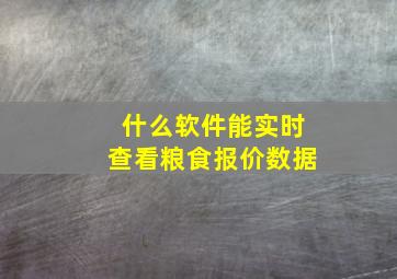 什么软件能实时查看粮食报价数据