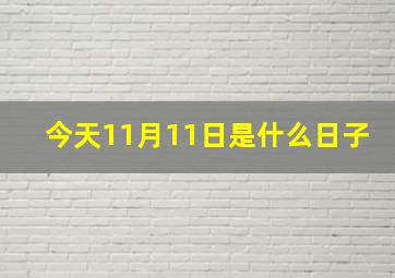 今天11月11日是什么日子