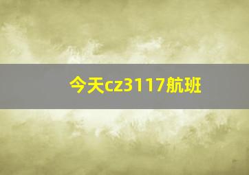 今天cz3117航班