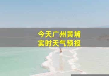 今天广州黄埔实时天气预报