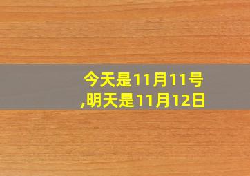 今天是11月11号,明天是11月12日