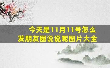 今天是11月11号怎么发朋友圈说说呢图片大全