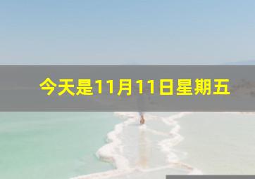 今天是11月11日星期五