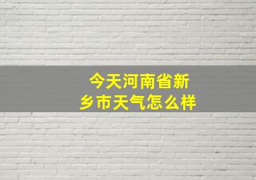 今天河南省新乡市天气怎么样