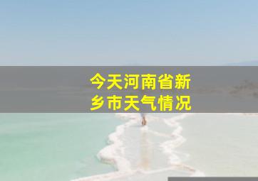 今天河南省新乡市天气情况