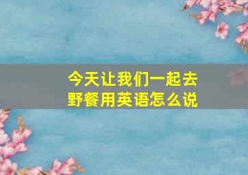 今天让我们一起去野餐用英语怎么说