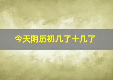 今天阴历初几了十几了