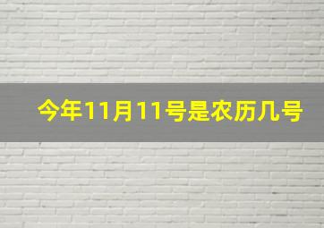 今年11月11号是农历几号