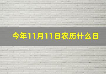 今年11月11日农历什么日