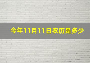 今年11月11日农历是多少