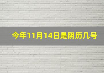 今年11月14日是阴历几号