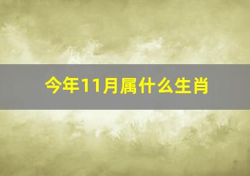 今年11月属什么生肖