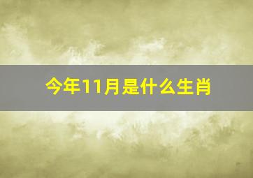 今年11月是什么生肖