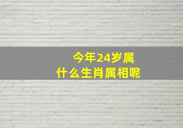 今年24岁属什么生肖属相呢