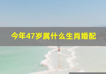 今年47岁属什么生肖婚配