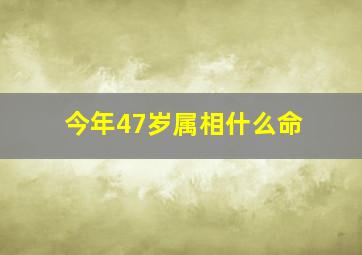 今年47岁属相什么命