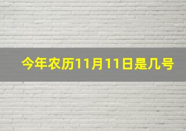 今年农历11月11日是几号