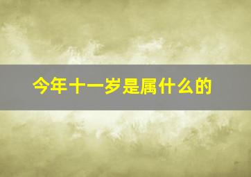 今年十一岁是属什么的