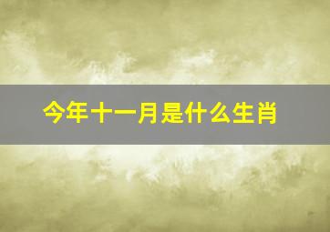 今年十一月是什么生肖