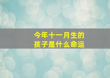 今年十一月生的孩子是什么命运