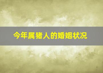 今年属猪人的婚姻状况