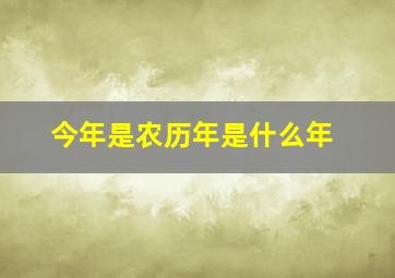 今年是农历年是什么年