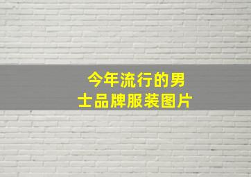 今年流行的男士品牌服装图片