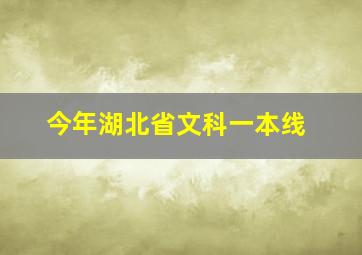 今年湖北省文科一本线