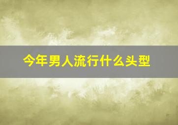 今年男人流行什么头型