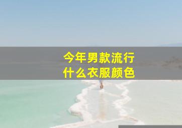 今年男款流行什么衣服颜色