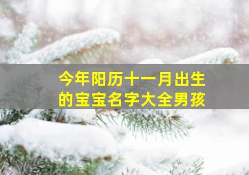 今年阳历十一月出生的宝宝名字大全男孩