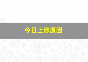 今日上涨原因