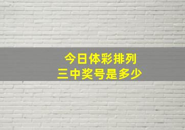 今日体彩排列三中奖号是多少