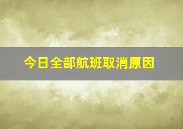 今日全部航班取消原因