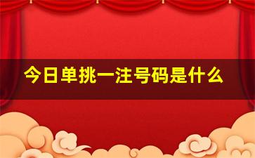 今日单挑一注号码是什么