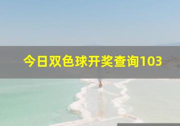 今日双色球开奖查询103