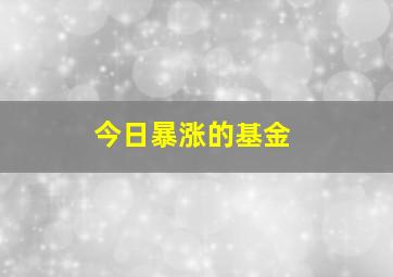 今日暴涨的基金