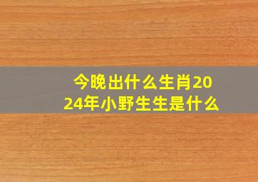 今晚出什么生肖2024年小野生生是什么