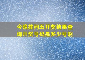 今晚排列五开奖结果查询开奖号码是多少号啊