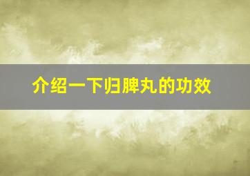 介绍一下归脾丸的功效