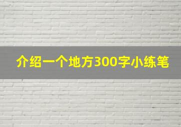 介绍一个地方300字小练笔