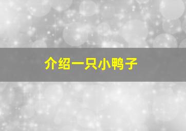 介绍一只小鸭子