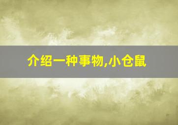 介绍一种事物,小仓鼠